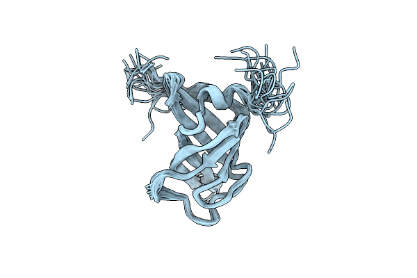 2L1T image
