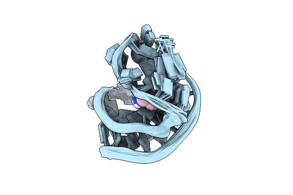 2L1V image
