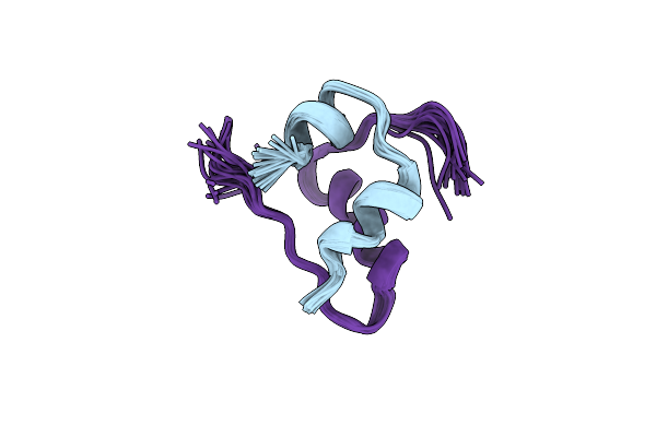 2L1Y image