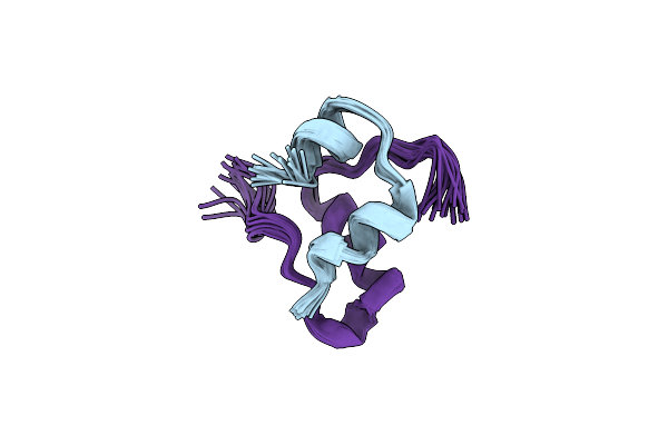 2L1Z image