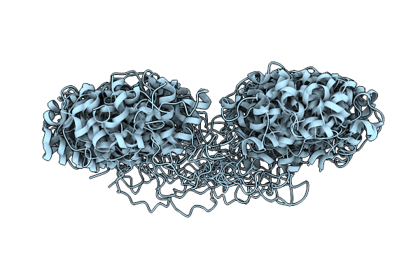 2L22 image