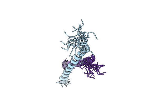 2L2L image