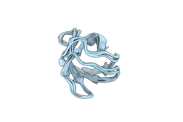 2L2P image