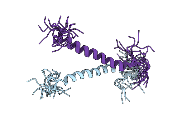 2L2T image