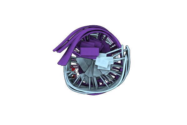 2L2V image