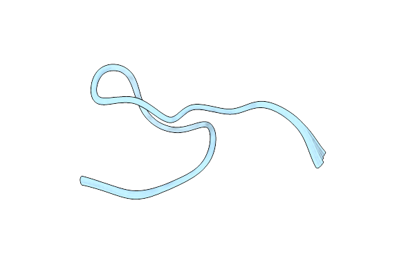 2L2W image
