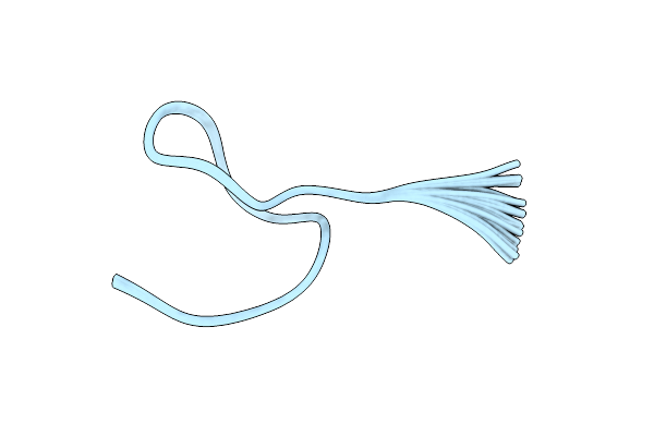 2L2Z image