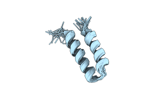 2L37 image