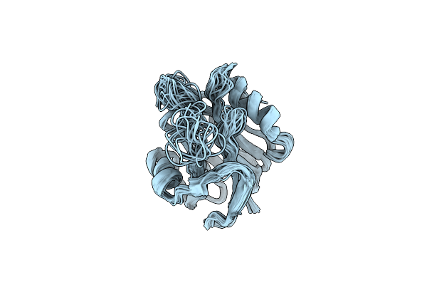 2L38 image