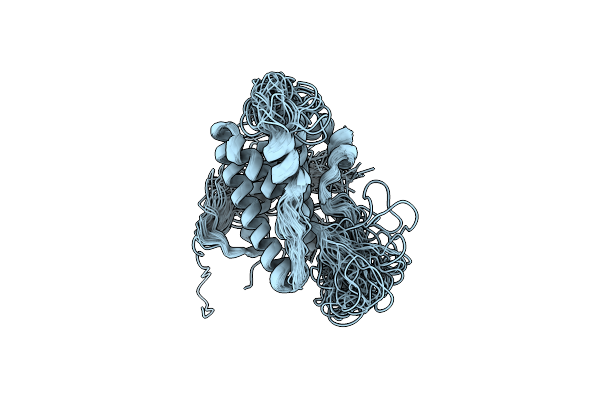 2L3Y image