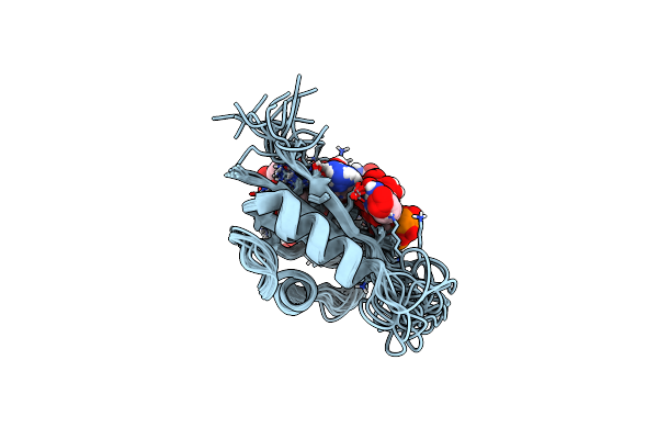 2L41 image
