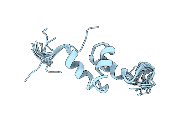2L4E image