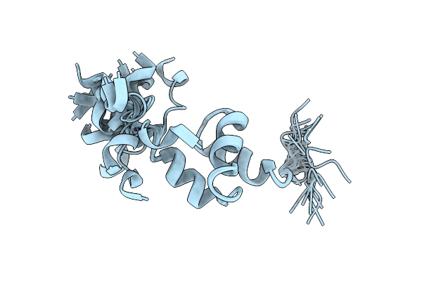 2L4F image