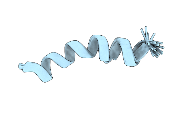 2L4G image