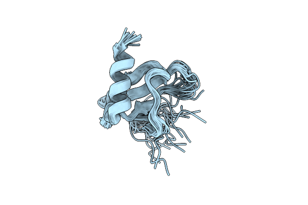 2L4N image