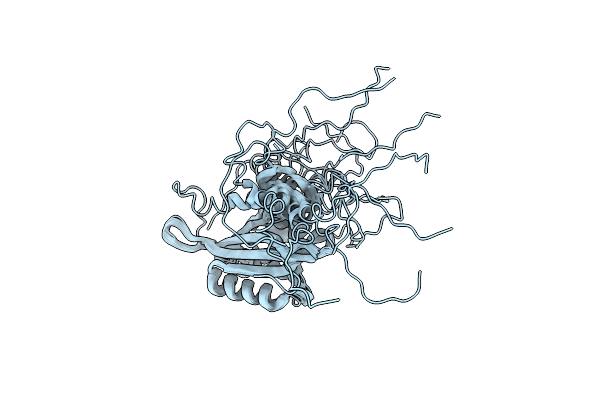 2L4R image