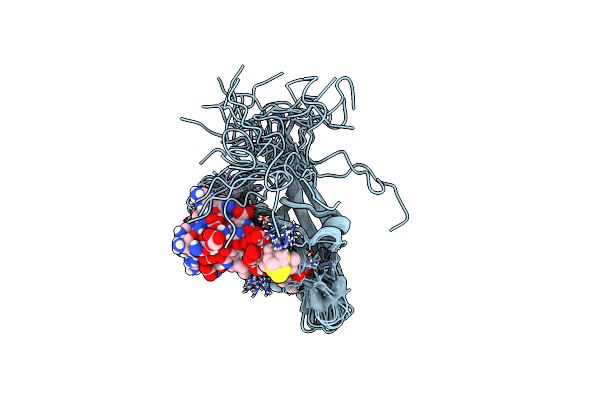 2L4T image