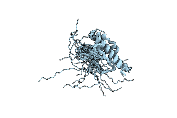 2L4X image