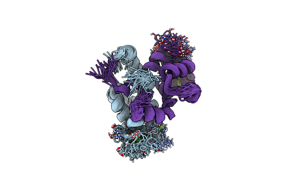 2L51 image