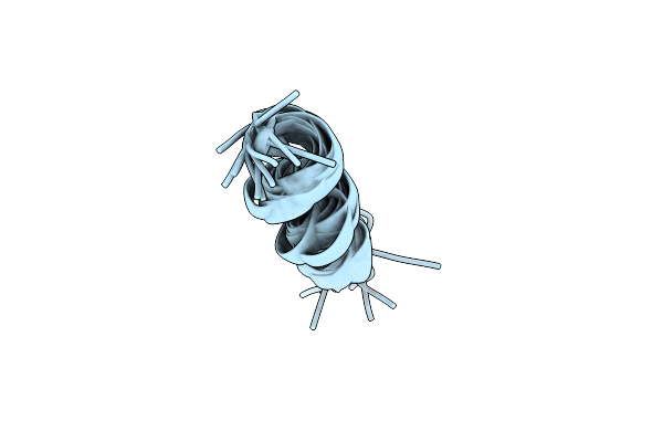 2L56 image