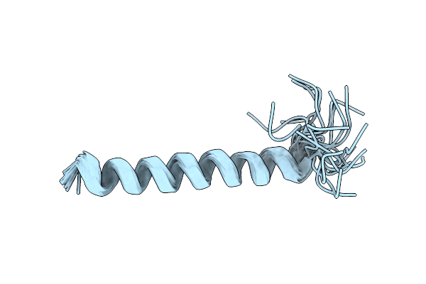 2L58 image