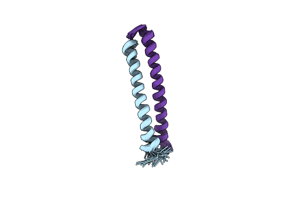 2L5G image