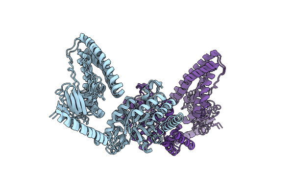 2L5H image