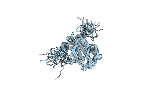 2L5L image