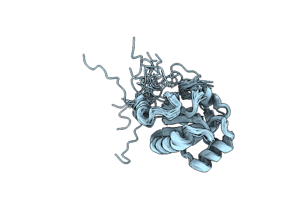 2L5O image