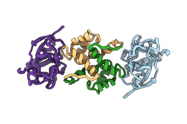 2L5X image