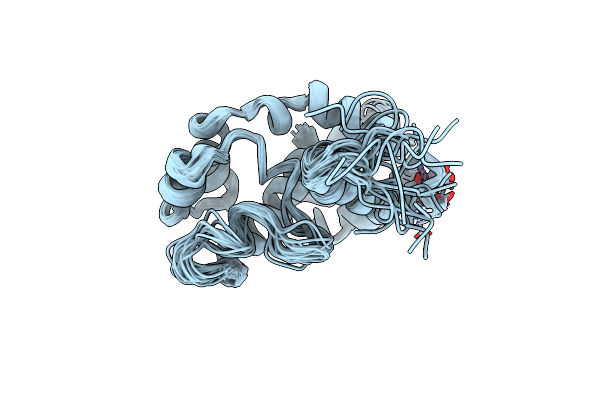 2L5Y image