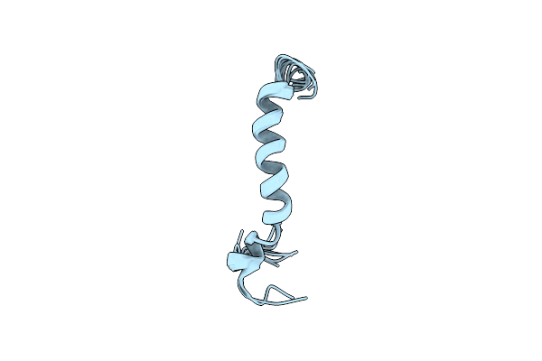 2L63 image