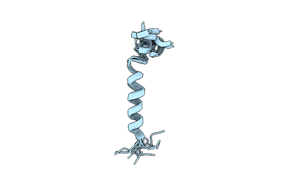 2L64 image