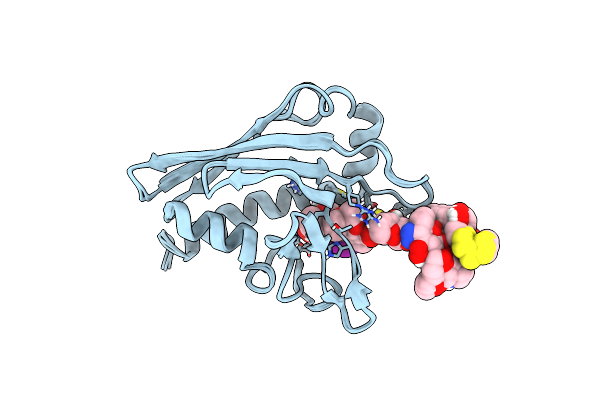 2L65 image