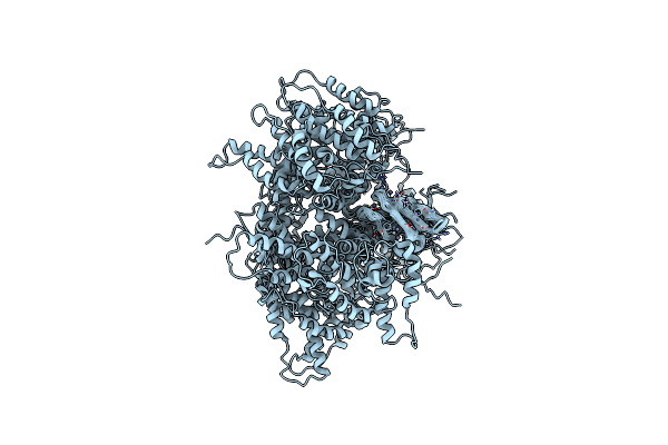 2L6L image