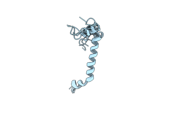 2L77 image