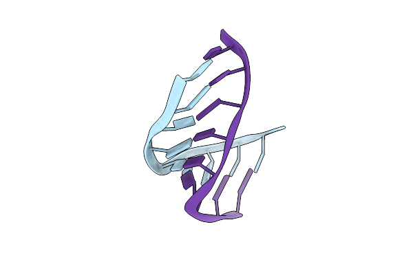 2L8C image