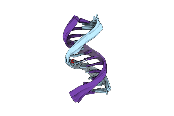 2L8P image