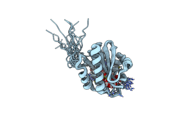 2L8R image
