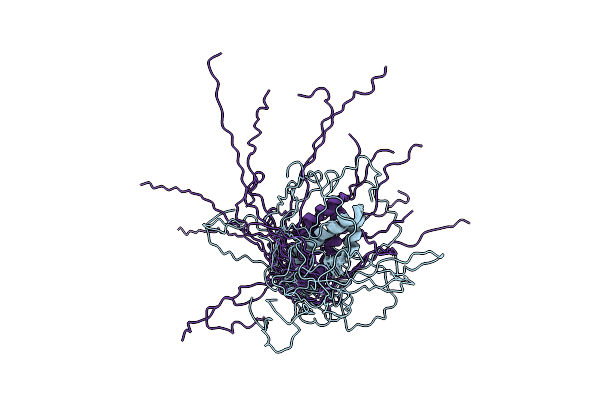 2L8T image