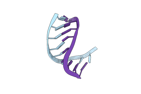 2L8W image