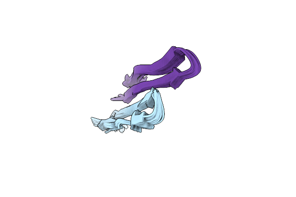 2L8X image