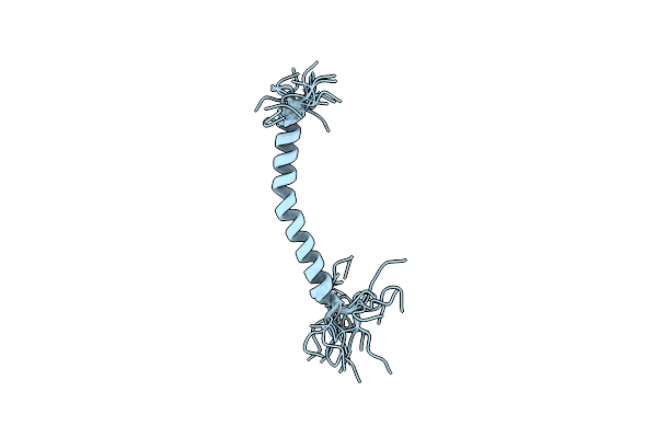 2L91 image