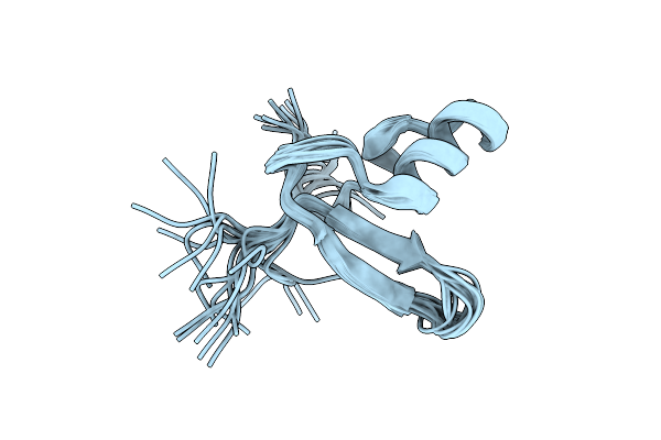 2L93 image