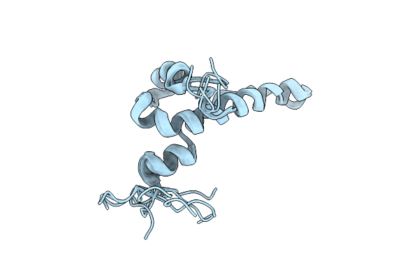 2L95 image