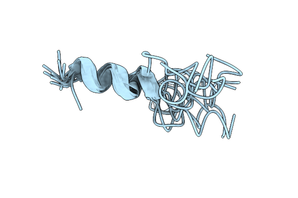 2L9A image