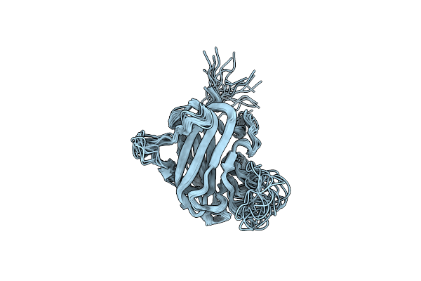 2L9L image