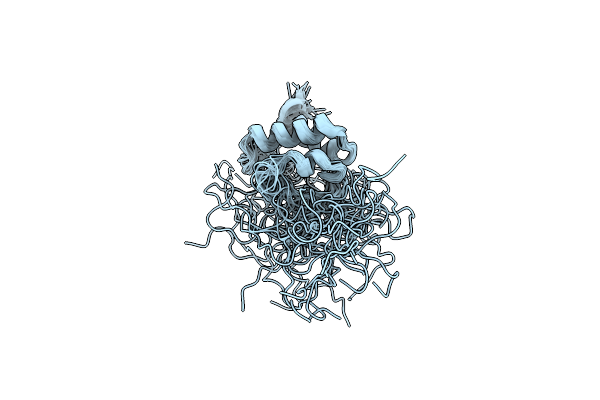 2LAI image