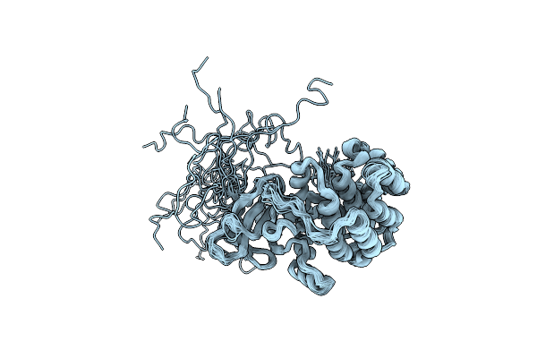 2LAV image