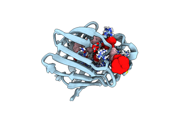 2LBA image